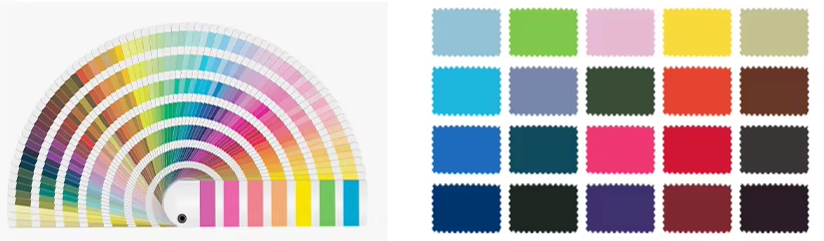 Sportswear Customization Showcase